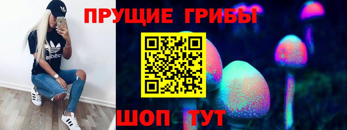 Псилоцибиновые грибы Psilocybe  Вход с VPN  Псилоцибиновые грибы прущие грибы  Новочеркасск 